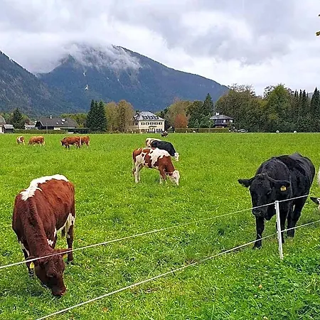 Haus Seethurn Aparthotel 3*