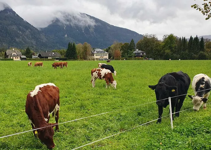 Haus Seethurn Aparthotel